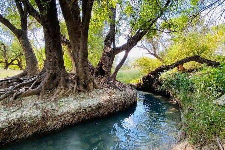 Best tour to "Bustamante" + Grottos + transfer + tickets