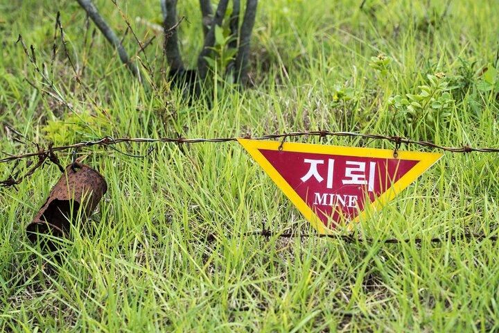 英語またはスペイン語で京畿道のDMZ 1日ツアー
