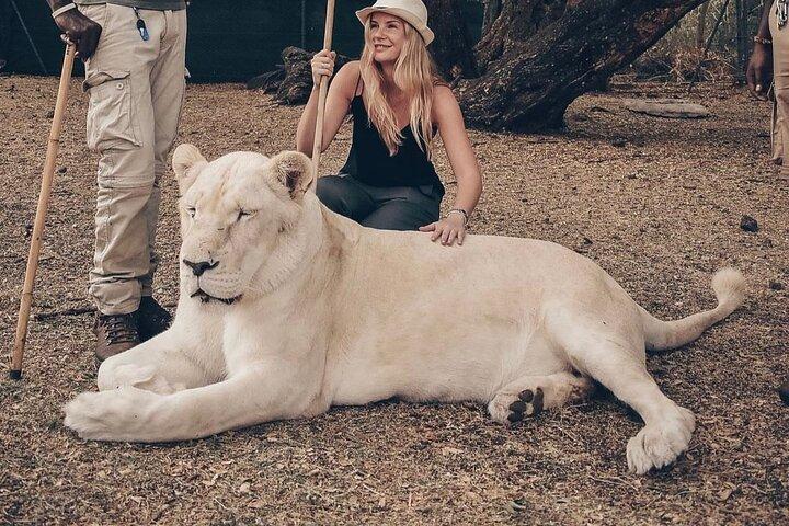 Scoperta del sud con Wild Life Safari al Casela Park con pranzo