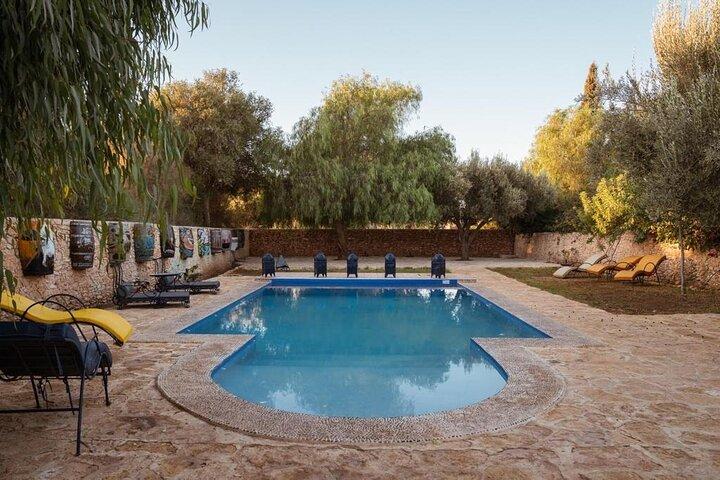 Private Vineyard Day from Marrakech Wine Tasting and City Tour