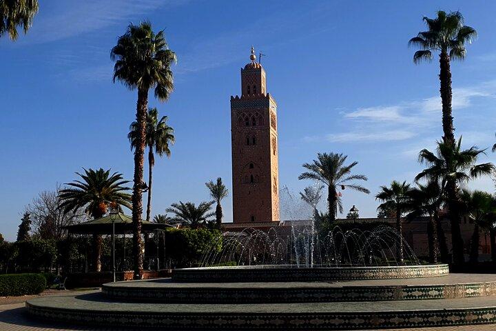 Discover Marrakesh: Half Day Guided Walking Tour