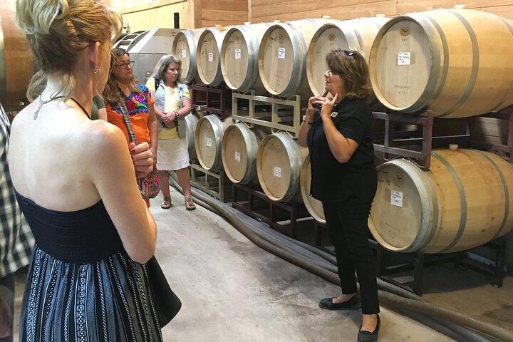 Fredericksburg Hill Country Aficionado Wine Tour fra San Antonio