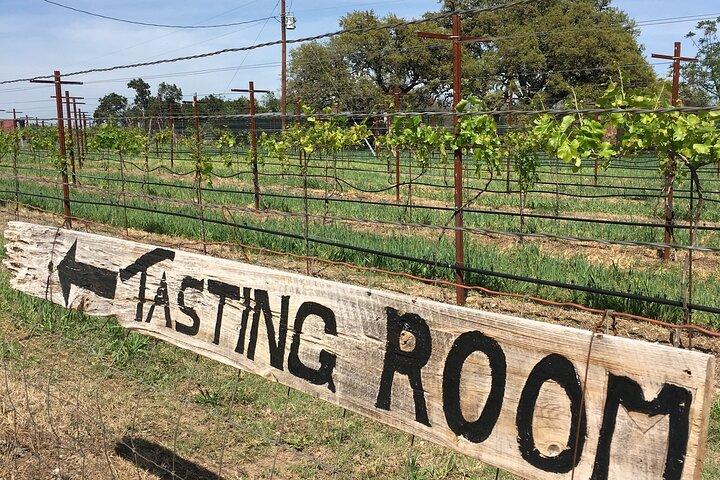 Fredericksburg Hill Country Aficionado Wine Tour fra San Antonio