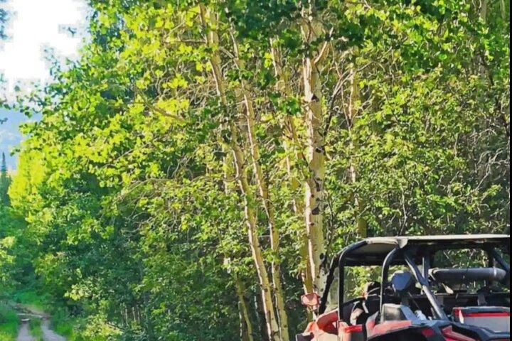 UTV Tour van Big Springs, Flats en Sawtell Peak