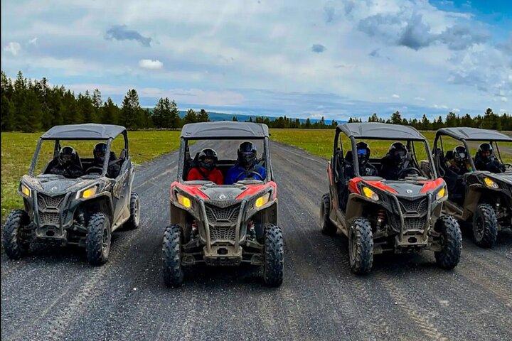 UTV Tour van Big Springs, Flats en Sawtell Peak