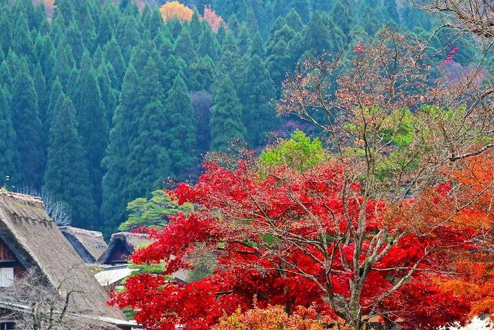 Takayama Hida oude binnenstad en Shirakawa-go dagtrip Nagoya