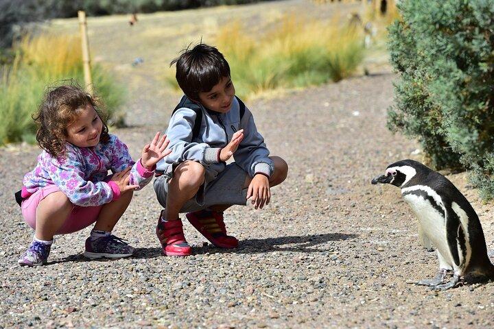 Heldags Punta Tombo - Walking Among Penguins Experience - Madryn