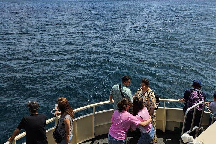 Experience Istanbul: Scenic Bosphorus Cruise with Lunch&Breakfast