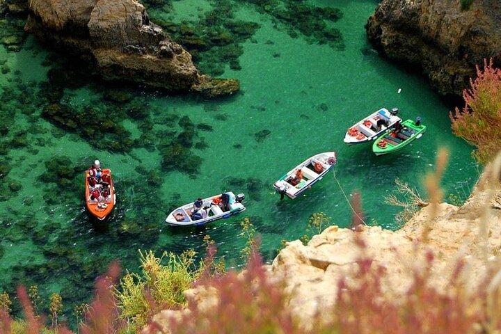 リスボン発ベナギル洞窟ボートツアー付きアルガルヴェプライベート日帰り旅行