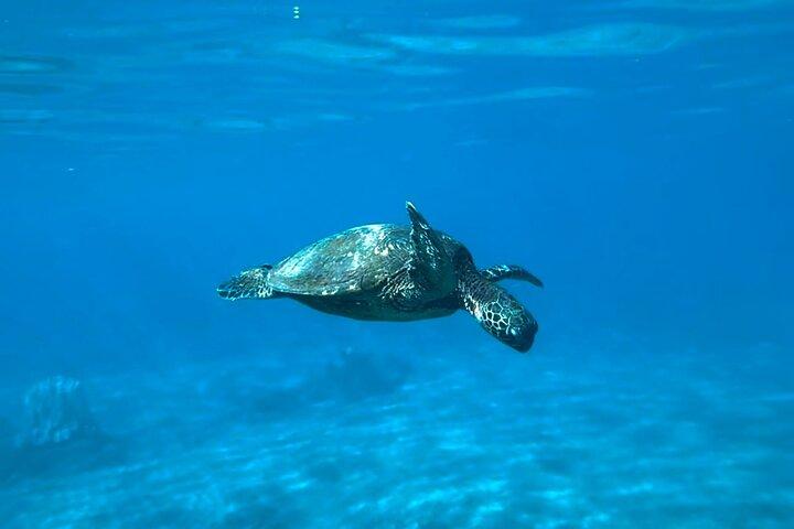 Foto private di snorkeling incluse