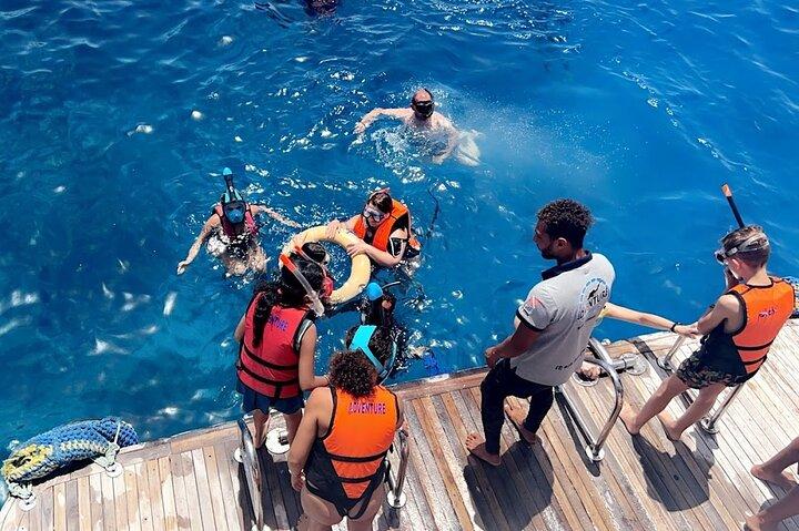 Snorkeling: Ras Mohamed e White Island con pranzo e bevande