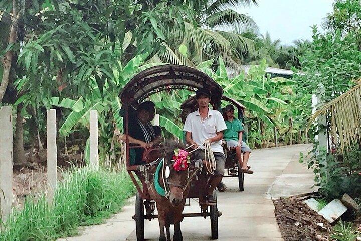 Journée complète dans les tunnels de Cu Chi et le delta du Mékong