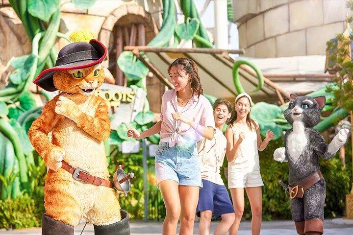 Entradas de Universal Studios Singapore con opciones