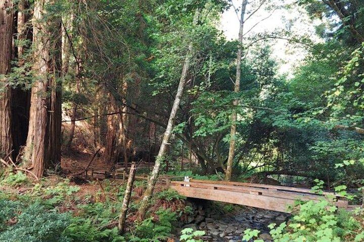 ミュアウッズとサウサリートを訪れるアルカトラズ島のナイトツアー