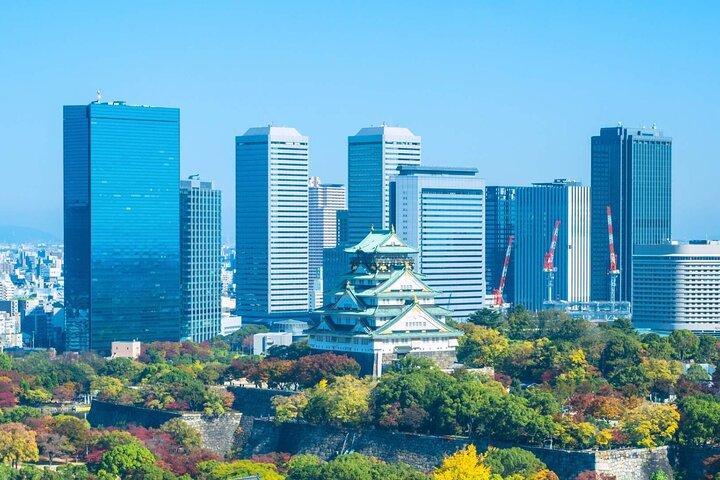 列をとばす 大阪城博物館入場券