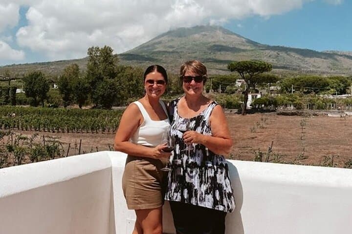 Pompeii: Wine Tasting Experience, Vineyards Tour and Full Lunch