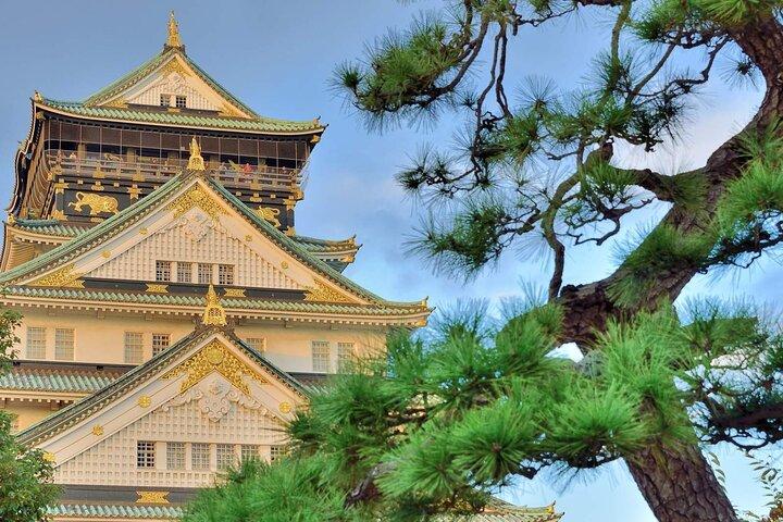 列をとばす 大阪城博物館入場券