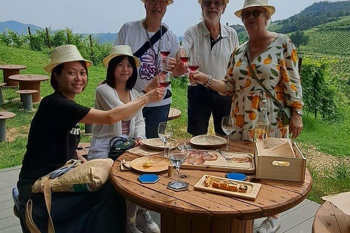 パルマ：パルミジャーノ乳製品、パルマハム、試飲付きワインヤード ツアー