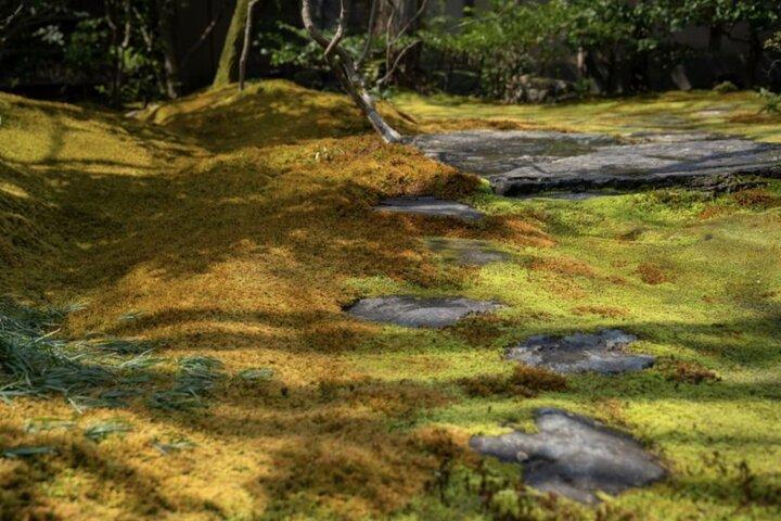 京都：僧侶と一緒に個人寺院で座禅を組む