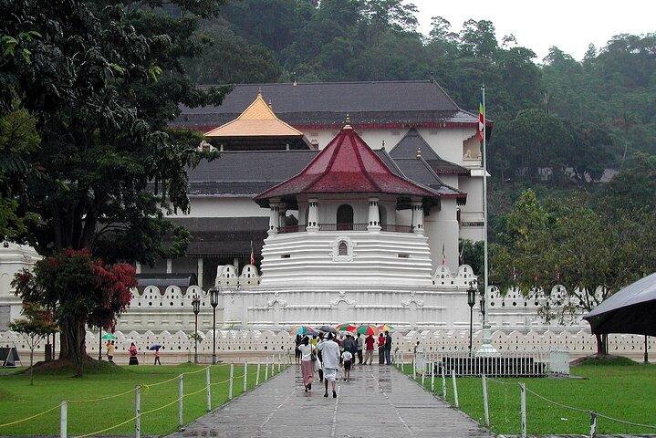 Excursão de lua de mel no Sri Lanka 7N/8D