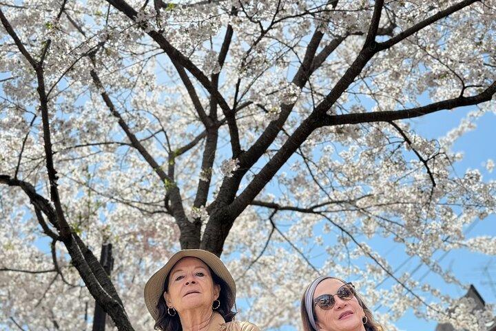 政府公認ガイドによる京都散策