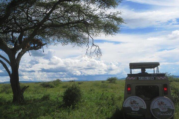 El mejor safari privado de 5 días en el norte de Tanzania