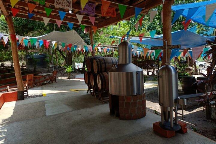 Privétour in Puerto Vallarta, bezoek aan een tequilafabriek