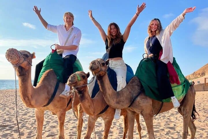 Tangier: Medina Secrets, Spartel, Caves, Camels & Meals