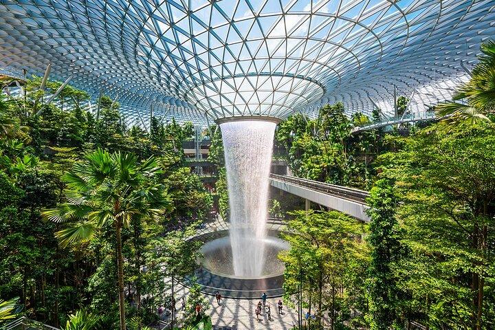 ジュエルチャンギ空港キャノピーパークチケット