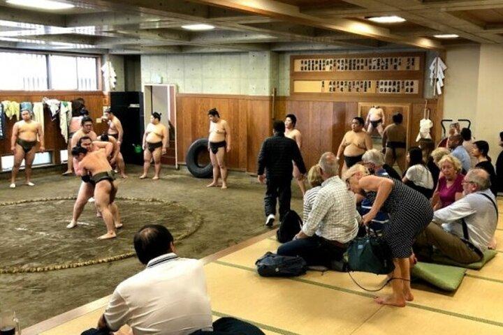 Tokyo 5hr Private Tour & Sumo Wrestler Morning Practice Viewing