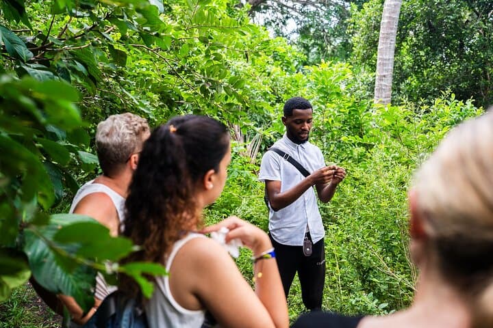 Zanzibar: Jozani Forest and Prison island Guided Tour