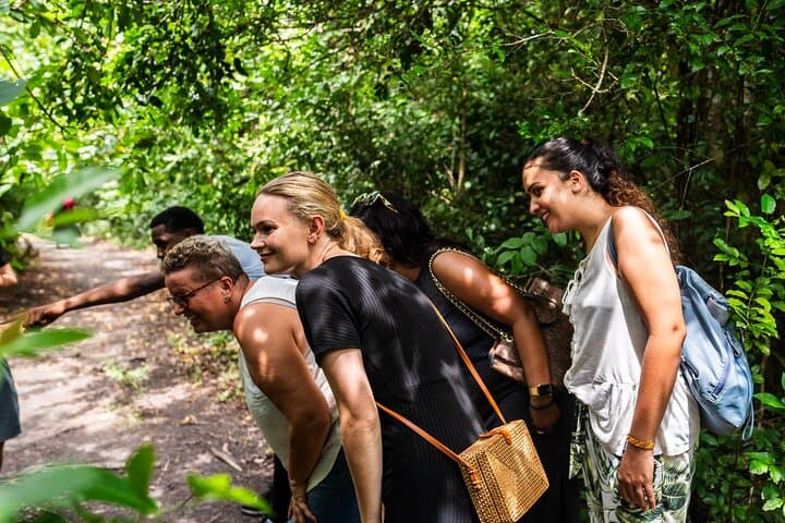 Zanzibar: Jozani Forest and Prison island Guided Tour