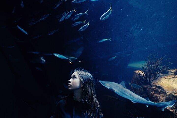 Billet d'entrée combiné pour Burj Khalifa et l'aquarium de Dubaï