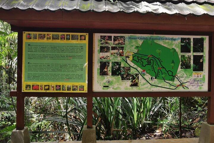 キナバル公園とポーリン温泉プライベート日帰りツアー