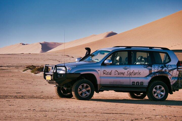 ウォルビス ベイからのサンドイッチ ハーバー半日 4x4 ツアー (5 時間)