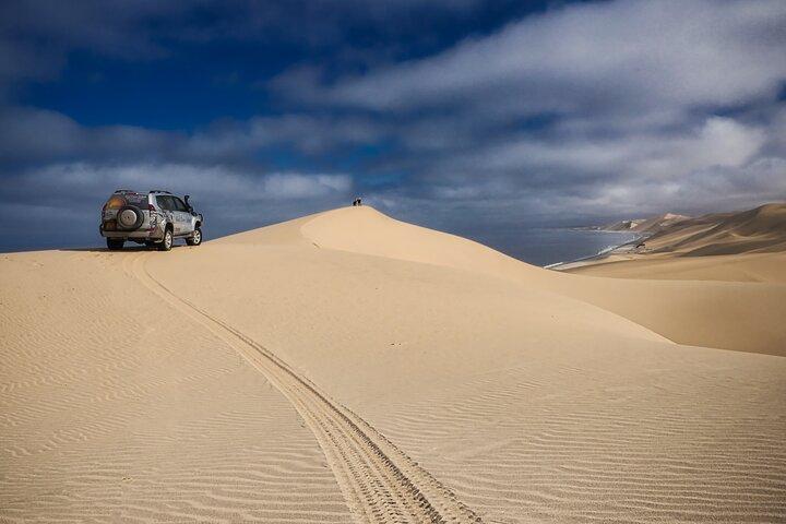 ウォルビス ベイからのサンドイッチ ハーバー半日 4x4 ツアー (5 時間)