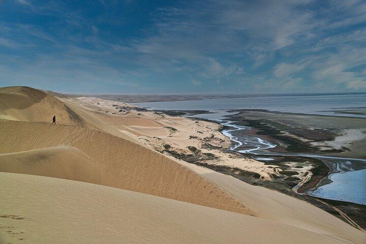 ウォルビス ベイからのサンドイッチ ハーバー半日 4x4 ツアー (5 時間)