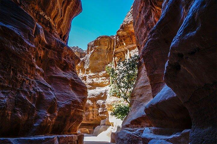 Excursão privada de 2 dias a Petra - Patrimônio Mundial da UNESCO com Petra à noite