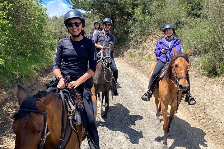 Adventure in the Andes Mountains