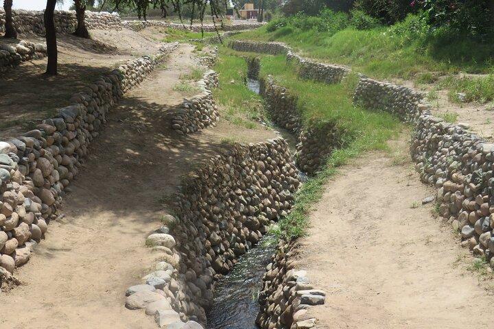 Tour pelos aquedutos e linhas de Cantalloc + ruínas de Paredones