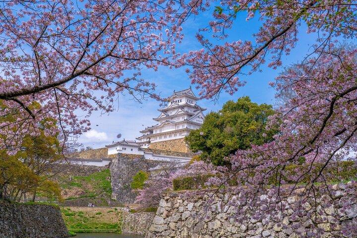 Private individuelle Tour Himeji ab Kyoto
