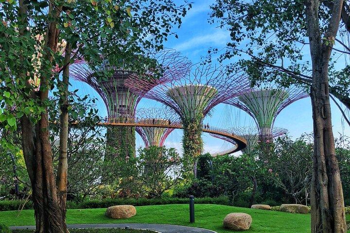 Gardens by the Bay guidet tur