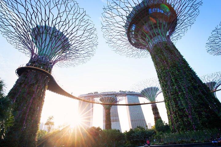 Gardens by the Bay guidet tur
