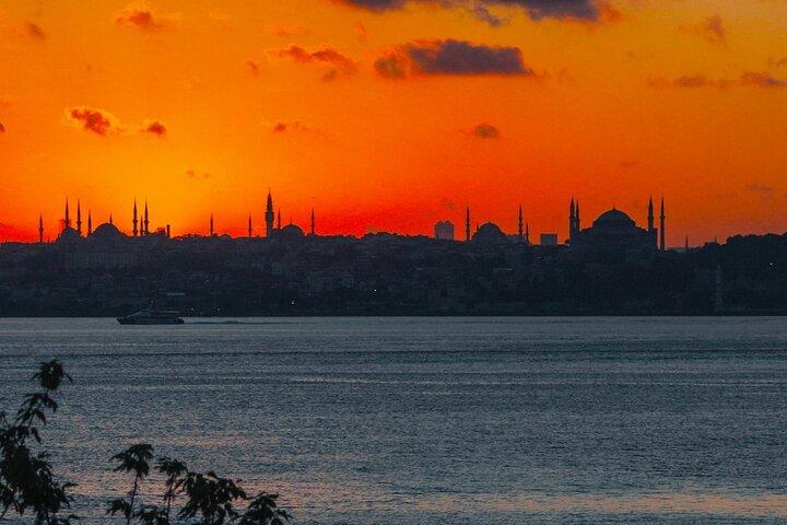 Best of Istanbul: Hagia Sophia,Blue Mosque,Topkapi Palace &Bazaar