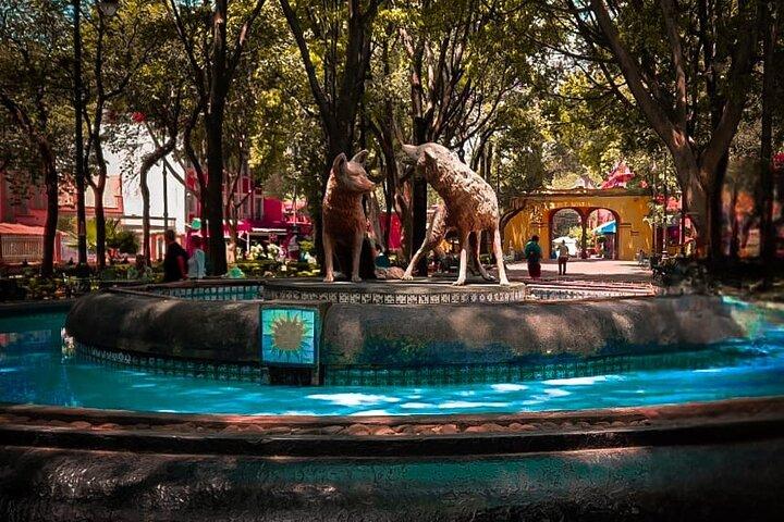 Xochimilco, Coyoacan and more tours