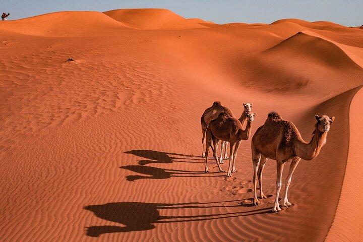 2 dage og 1 nat Private Wahiba Sands Desert med Wadi