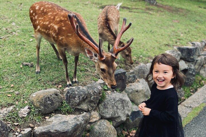 Nara-Abenteuer: Todaiji, Kasuga-Schrein, Nara-Park, Hozanji-Tempel