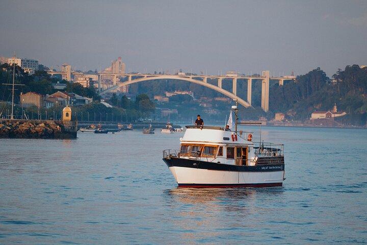 Zes Bruggen Cruise in Porto met Port Wijnproeverij