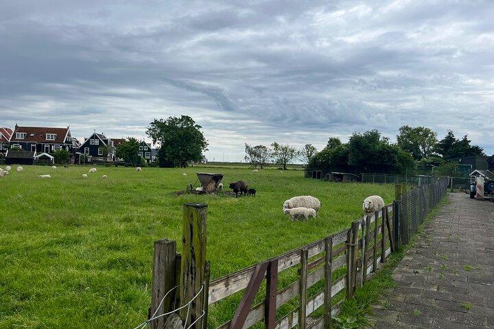 Excursion privée d'une demi-journée d'Amsterdam à Edam Volendam et Marken