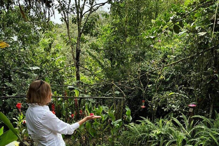 Mindo Cloud Forest Private Tagestour und Schokoladenfabrik